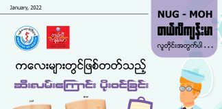 ကလေးများတွင် ဖြစ်တတ်သည့် ဆီးလမ်းကြောင်းပိုးဝင်ခြင်း Urinary Tract Infections (UTI) in Children