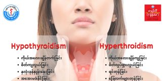 သိုင်းရွိုက်ဟော်မုန်းရောဂါများ Hypothyroidism and Hyperthyroidism (October, 2022)