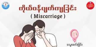 ကိုယ်ဝန်ပျက်ကျခြင်း Miscarriage (November, 2022)