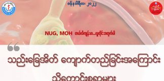 သည်းခြေအိတ် ကျောက်တည်ခြင်း Gallstone