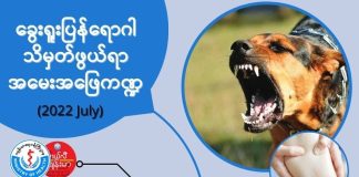 ခွေးရူးရောဂါနဲ့ ပတ်သက်ပြီး အမေးများတဲ့မေးခွန်းလေးတွေ Q&A Session about Rabies ( July, 2022)
