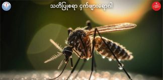 ငှက်ဖျားရောဂါ Malaria