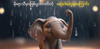 မုတ်သုံရာသီတွင် အဖြစ်များသောရောဂါများ Monsoon Diseases