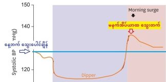 ဇီဝနာရီနဲ့ တစ်နေ့တာအတွင်း သွေးပေါင်ချိန်ပြောင်းလဲမှု Biological Clocks and Blood Pressure Changes (August,2023)