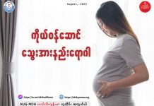 ကိုယ်ဝန်ဆောင် သွေးအားနည်းရောဂါ Anaemia in Pregency
