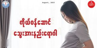 ကိုယ်ဝန်ဆောင် သွေးအားနည်းရောဂါ Anaemia in Pregency