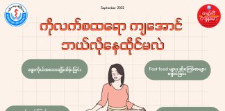 How to reduce Cholesterol: ကိုယ်တွင်းအဆီဓာတ်များနှင့် ဘယ်လိုလျော့ချကြမလဲ ? ( September, 2022 )