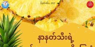 နာနတ်သီးရဲ့ ကျန်းမာရေးအကျိုးပြုပုံ (September,2023)