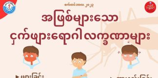 ငှက်ဖျားရောဂါ လက္ခဏာများ Malaria Symptoms in Ethnic Languages (September,2023)