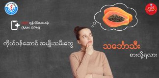 ကိုယ်ဝန်ဆောင်ချိန် သင်္ဘောသီး စားလို့ရလား