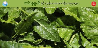 ဟင်းနုနွယ် နှင့် ကျန်းမာရေးအကျိုးကျေးဇူးများ (December,2023)