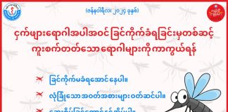 ငှက်ဖျားရောဂါအပါအဝင် ခြင်ကိုက်ခြင်းမှတစ်ဆင့် ကူးစက်တတ်တဲ့ရောဂါတွေကို ကြိုတင်ကာကွယ်နိုင်တဲ့ အချက်တွေ Malaria Prevention in Ethnic Languages (January,2024)