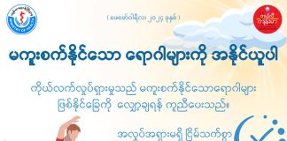 မကူးစက်နိုင်သော ရောဂါများကို အနိုင်ယူပါ