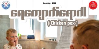 ရေကျောက်ရောဂါ (Chicken Pox)