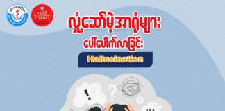 လှုံ့ဆော်မဲ့ အာရုံများ ပေါ်ပေါက်လာခြင်း (Hallucination)