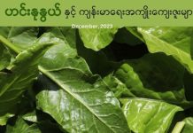 ဟင်းနုနွယ်ရွက်နှင့် ကျန်းမာရေးအကျိုးကျေးဇူးများ (Video)