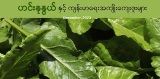 ဟင်းနုနွယ်ရွက်နှင့် ကျန်းမာရေးအကျိုးကျေးဇူးများ (Video)