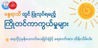 နွေရာသီတွင် ပြုလုပ်ရမည့် ကြိုတင်ကာကွယ်မှုများ