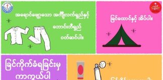 ခြင်အန္တရာယ်မှ ကာကွယ်ပါ