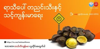 တညင်းသီးနှင့် ကျန်းမာရေးဆိုးကျိုး