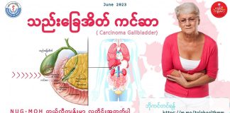 သည်းခြေအိတ် ကင်ဆာ Carcinoma Gallbladder