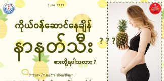 ကိုယ်ဝန်ဆောင်နှင့် နာနတ်သီး