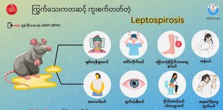 ကြွက်သေးကနေတစ်ဆင့် ကူးစက်တတ်တဲ့ ရောဂါတစ်မျိုးဖြစ်တဲ့ Leptospirosis
