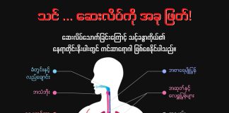 သင်… ဆေးလိပ်ကို အခု ဖြတ်!