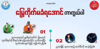 မြွေကိုက်မခံရအောင် ကာကွယ်ပါ