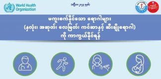 မကူးစက်နိုင်သော ရောဂါများကို ကာကွယ်ရန်