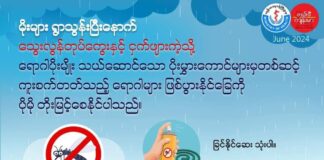 မိုးရာသီနှင့် ကျန်းမာရေး (၁)