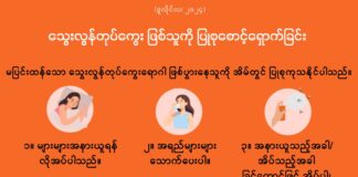 သွေးလွန်တုပ်ကွေး ဖြစ်သူကို ပြုစုစောင့်ရှောက်ခြင်း