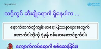 ဆီးချိုရောဂါရှိပါက စစ်ဆေးရန်လိုအပ်သည့်အရာများ Examinations for DM Patients in Ethnic Languages