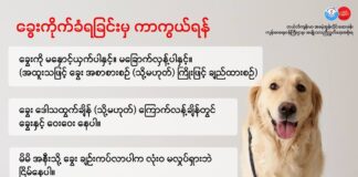 ခွေးကိုက်ခံရခြင်းမှ ကာကွယ်ရန် (အောက်တိုဘာလ၊ ၂၀၂၄ ခုနှစ်)