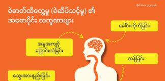 ခဲဓာတ်ထိတွေ့မှု (ခဲဆိပ်သင့်မှု) ၏ အစောပိုင်း လက္ခဏာများ (နိုဝင်ဘာလ၊ ၂၀၂၄ ခုနှစ်)
