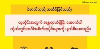 ခဲဓာတ်သည် အဆိပ်ဖြစ်သည် (ဒီဇင်ဘာလ၊ ၂၀၂၄ ခုနှစ်)