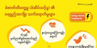 ခဲဓာတ်ထိတွေ့မှု (ခဲဆိပ်သင့်မှု) ၏ ရေရှည်အကျိုး သက်ရောက်မှုများ (ဒီဇင်ဘာလ၊ ၂၀၂၄ ခုနှစ်)