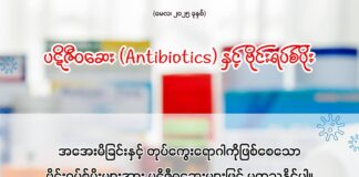 ပဋိဇီဝဆေး (Antibiotics) နှင့် ဗိုင်းရပ်စ်ပိုး (မေလ၊ ၂၀၂၅)