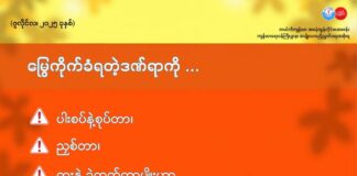 မြွေကိုက်ခံရတဲ့ဒဏ်ရာအတွက် မလုပ်သင့်သည်များ (ဇူလိုင်လ၊ ၂၀၂၅ ခုနှစ်)