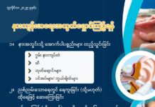 နားကျန်းမာရေးအတွက် ရှောင်ကြဉ်ရန် (ဇူလိုင်၊ ၂၀၂၅)
