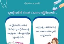 သွားပိုးပေါက် (Tooth Cavities) မဖြစ်အောင်… (ဩဂုတ်လ၊ ၂၀၂၅ ခုနှစ်)