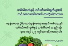 သစ်သီးဝလံ၊ ဟင်းသီးဟင်းရွက်များနှင့် ကျန်းမာရေး (စက်တင်ဘာ၊ ၂၀၂၅)