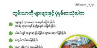 ကွမ်းယာကို များများနှင့် ပုံမှန်စားသုံးပါက (ဒီဇင်ဘာ၊ ၂၀၂၅)