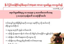 နီပါ ပြင်းထန်ဗိုင်းရပ်စ်ရောဂါ (Nipah virus) ကူးစက်မှုမှ ကာကွယ်ရန် (ဖေဖော်ဝါရီ၊ ၂၀၂၆)