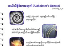 အယ်လ်ဇိုင်းမားရောဂါ (Alzheimer’s disease)(ဖေဖော်ဝါရီ၊ ၂၀၂၆)