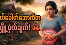 ဗိုက်ခေါက်အောက်က လျှိဝှက်ချက် (ဝမ်းဗိုက်အဆီရဲ့ အမှန်တရား)