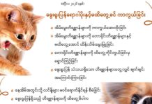 ခွေးရူးပြန်ရောဂါပိုးနှင့်မထိတွေ့ခင် ကာကွယ်ခြင်း (ဧပြီလ၊ ၂၀၂၆ ခုနှစ်)