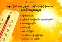 ခန္ဓာကိုယ် အပူလွန်ကဲလာခြင်းကြောင့် ဖြစ်သော ရောဂါလက္ခဏာများ (ဧပြီလ၊ ၂၀၂၆ ခုနှစ်)