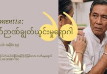 သွေးကြောပိတ်ခြင်း/ပေါက်ခြင်းကြောင့်ဖြစ်သော သတိမေ့ရောဂါ Vascular Dementia