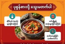 ပုစွန်စားလို့ သွေးမတက်ပါ